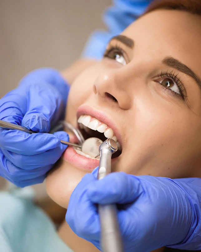 Norden dentist portrait